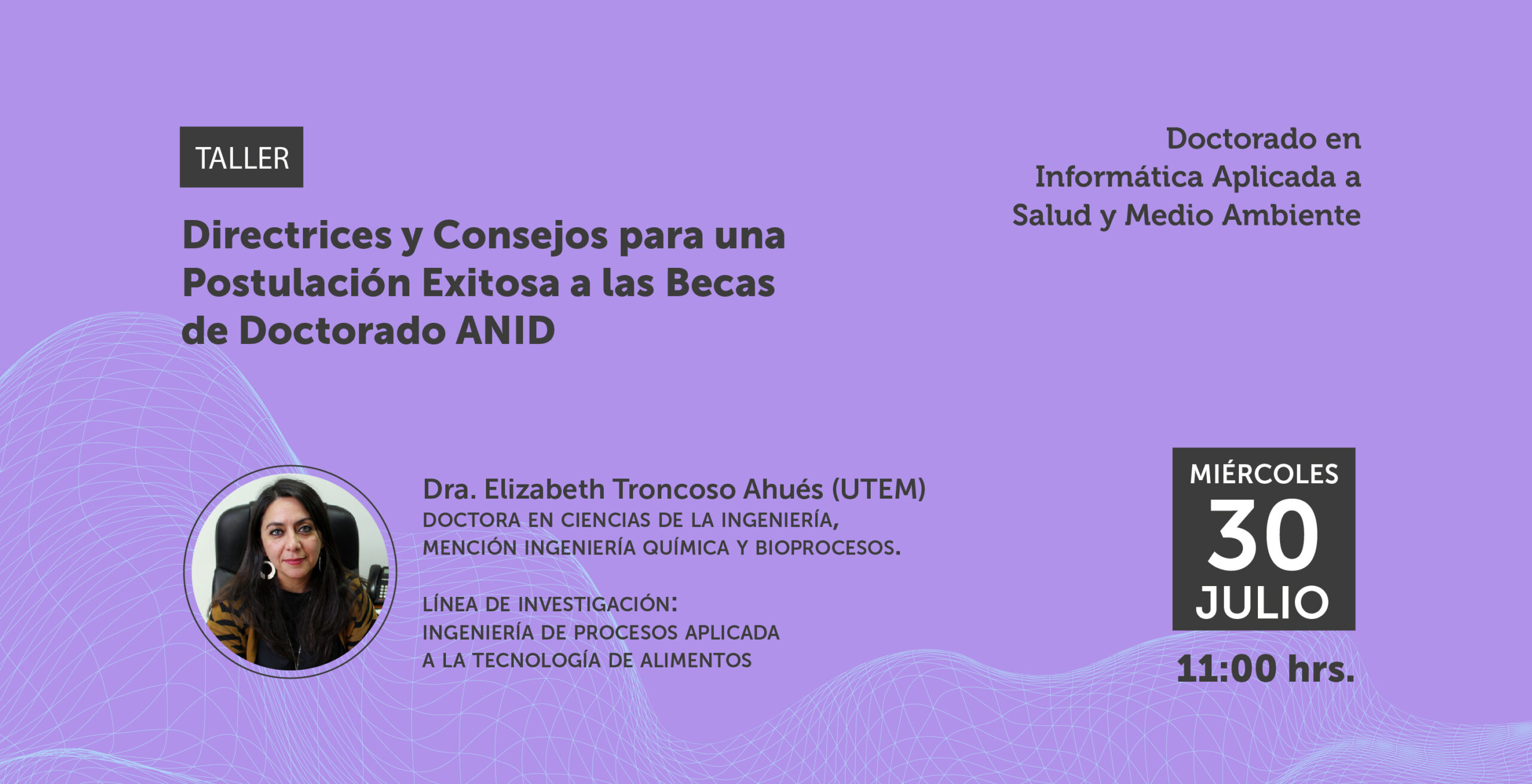 Taller “Directrices y Consejos para una Postulación Exitosa a las Becas de Doctorado ANID”